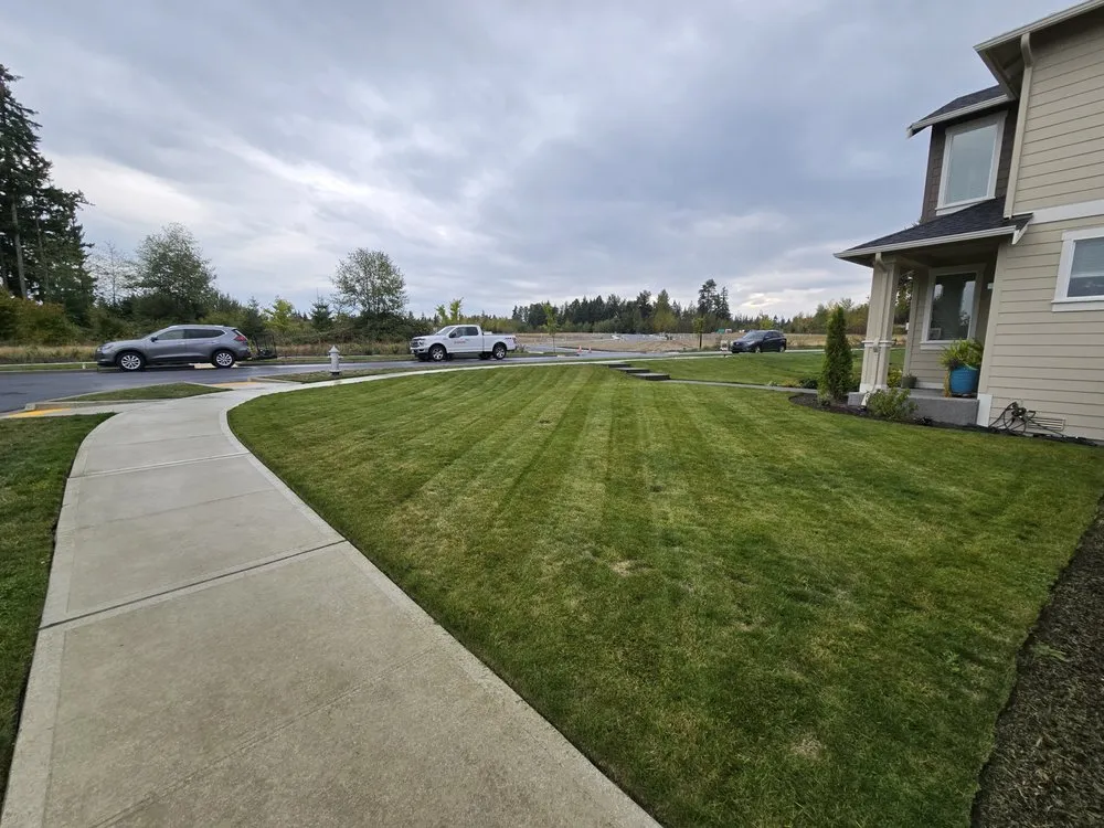 Affordable lawn care service with custom design in Prairie Ridge, WA by Pristine Cut