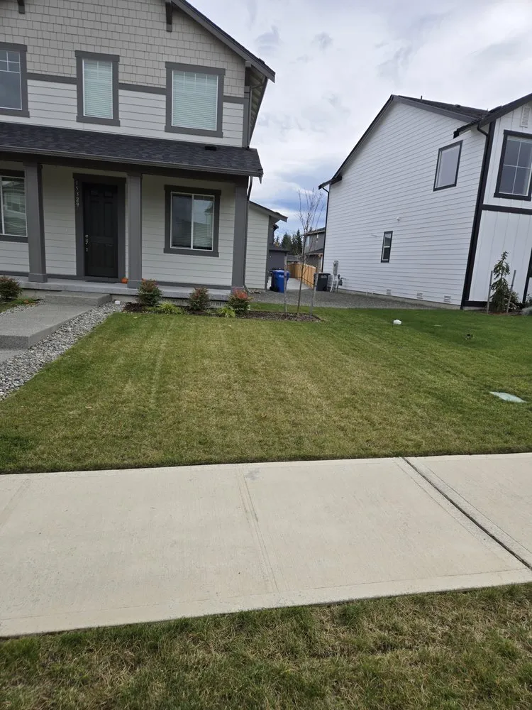 Expert garden landscaping experts serving Prairie Ridge, WA - Pristine Cut