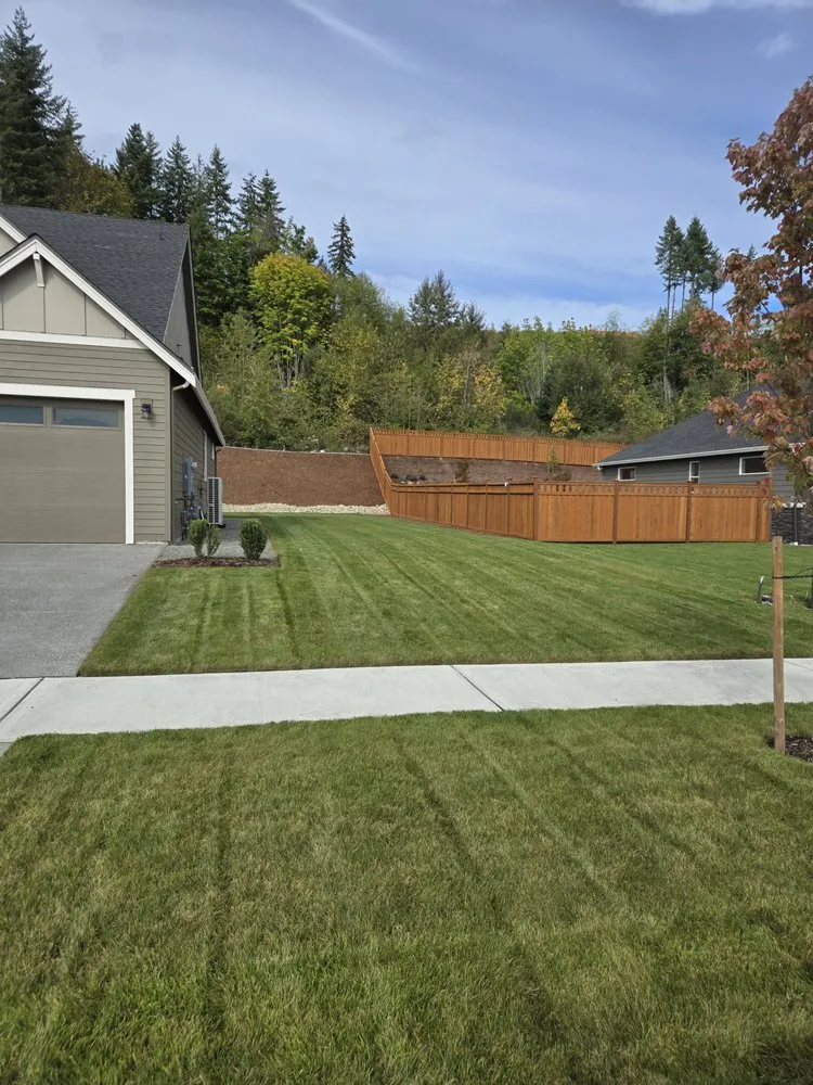 Trusted yard cleanup service in Prairie Ridge, WA - Pristine Cut