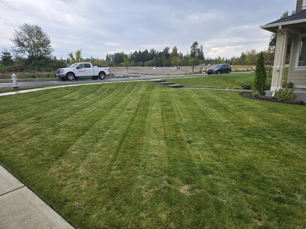 Reliable residential landscaping in Prairie Ridge, WA by Pristine Cut