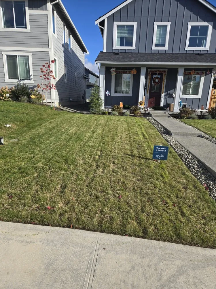 Trusted garden landscaping in Prairie Ridge, WA - Pristine Cut
