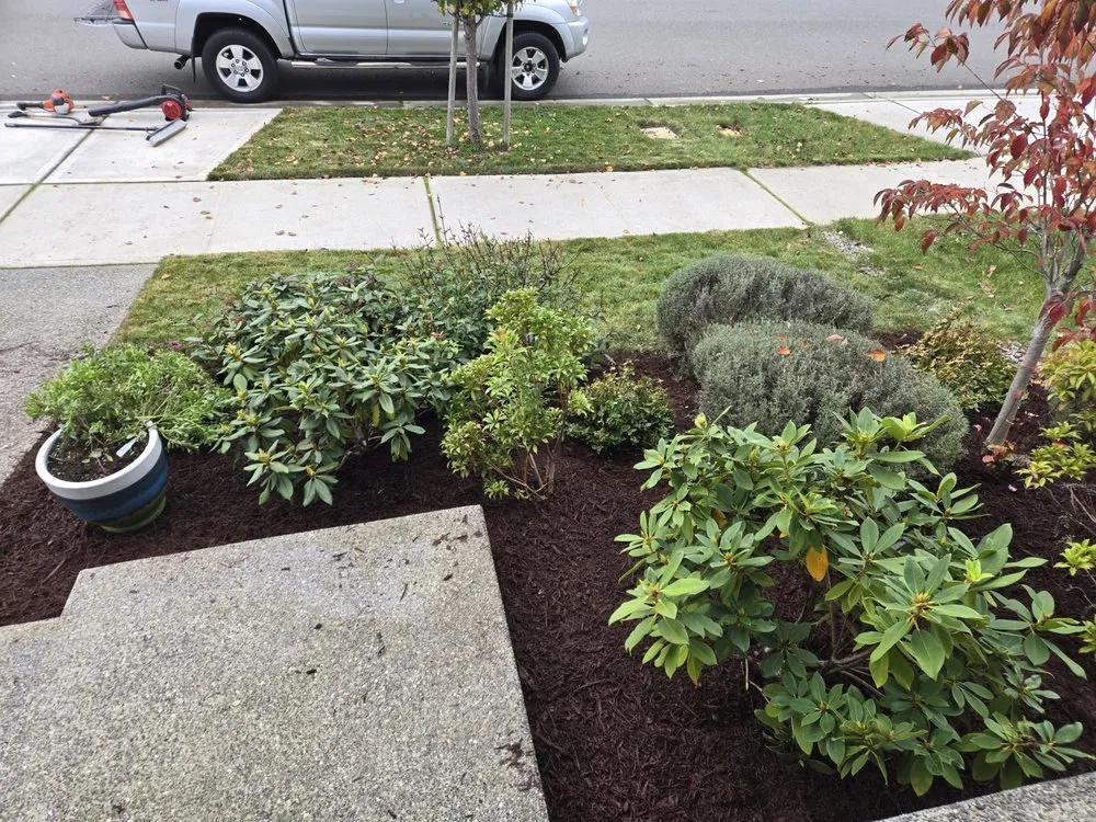 Affordable landscape installation in Prairie Ridge, WA by Pristine Cut