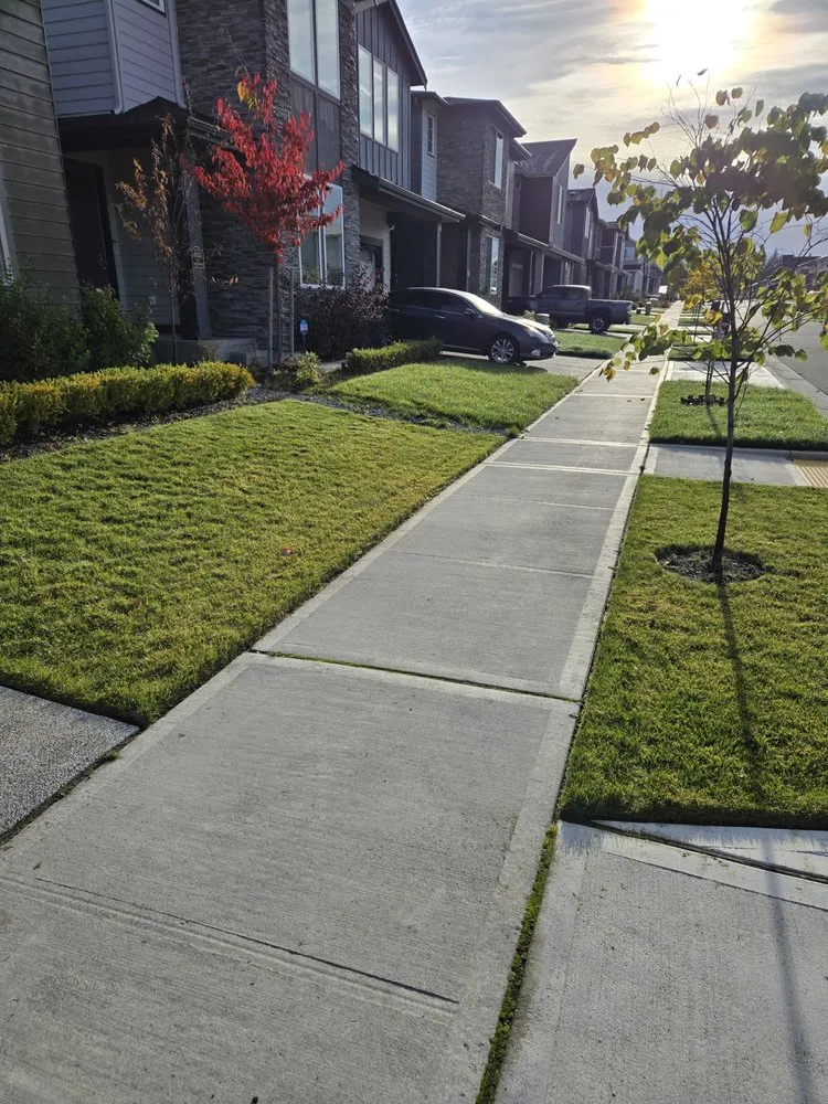 Affordable lawn mowing service in Prairie Ridge, WA - Pristine Cut