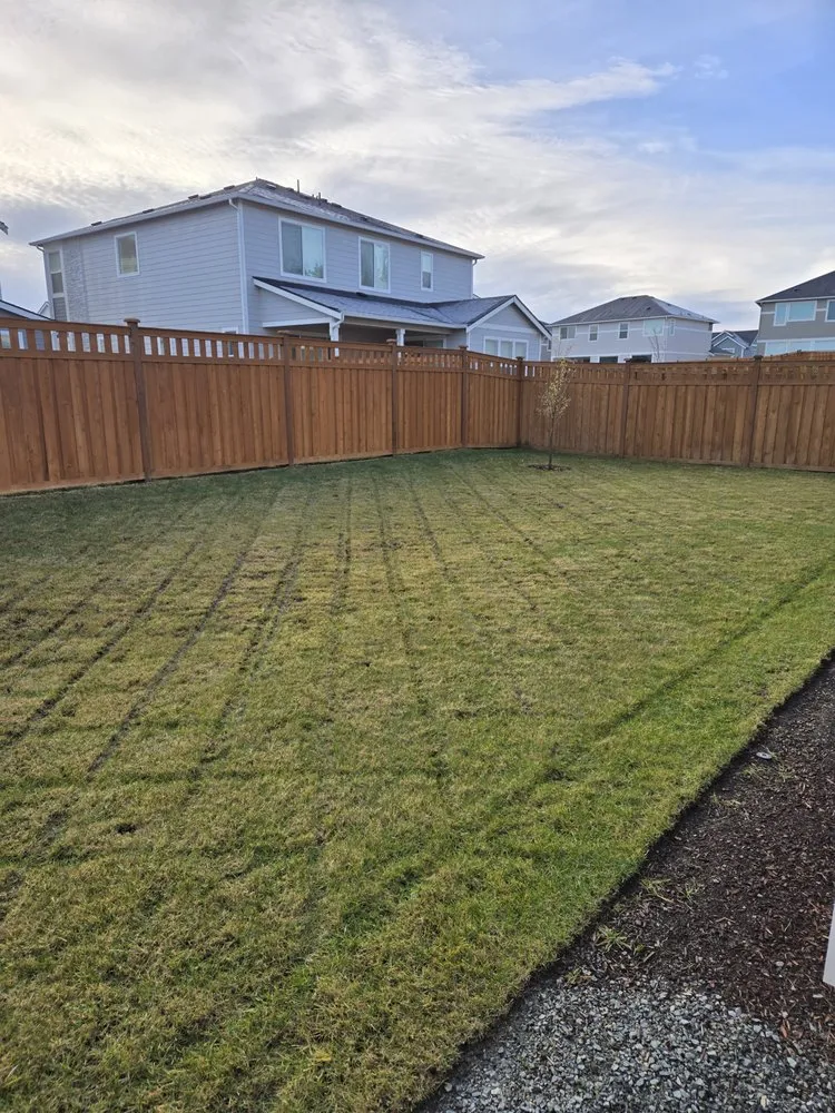 Custom landscape installation in Prairie Ridge, WA - Pristine Cut