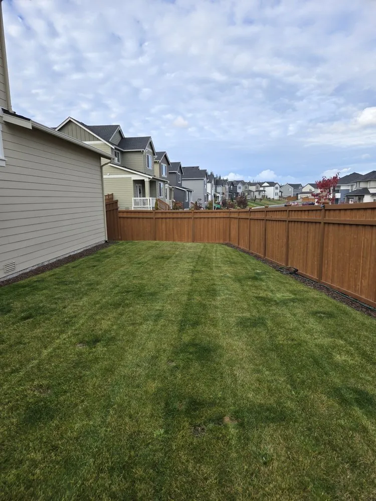 Expert lawn care service in Prairie Ridge, WA - Pristine Cut