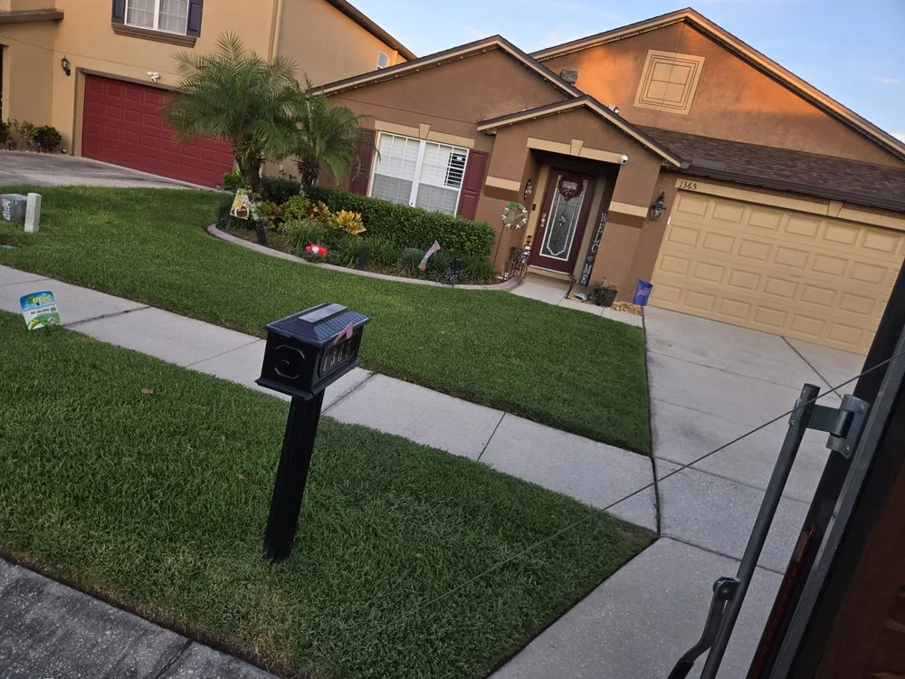 Custom yard cleanup service in Winter Springs, FL - Pristine Cuts & Care