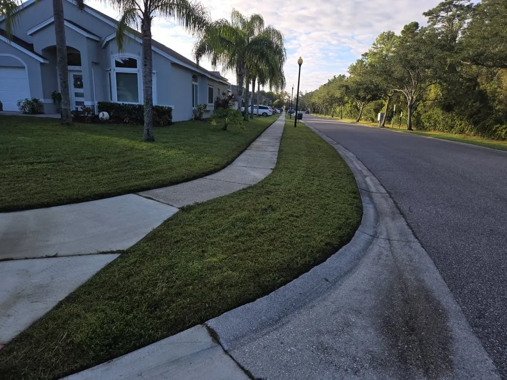 Affordable landscaping services for year-round maintenance in Winter Springs, FL by Pristine Cuts & Care