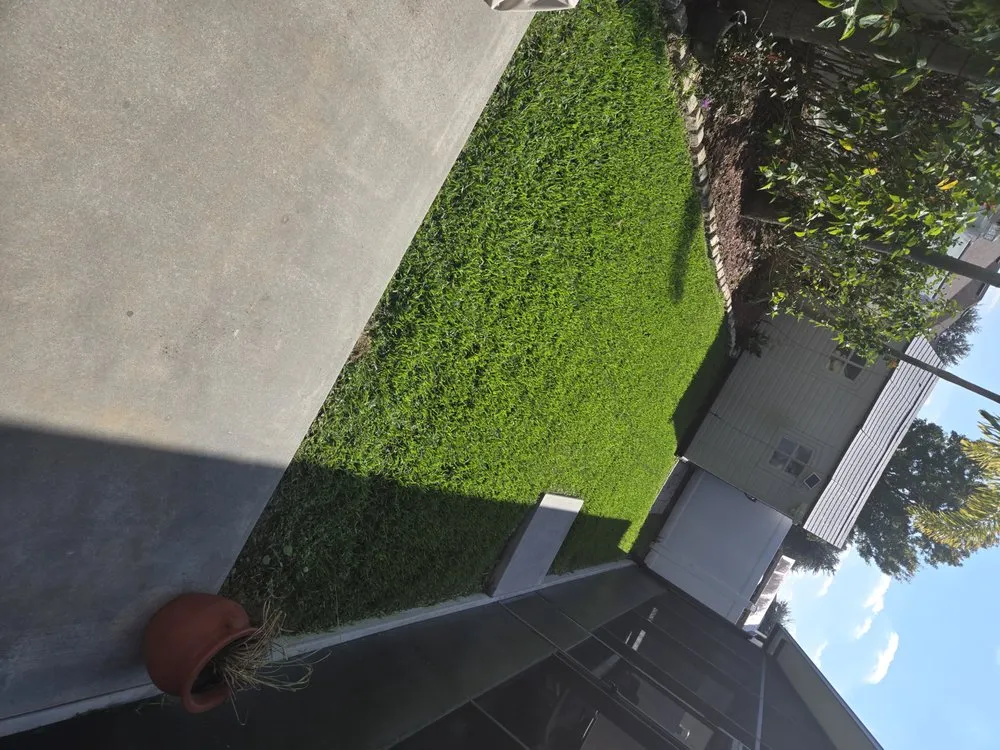 Affordable yard maintenance in Winter Springs, FL - Pristine Cuts & Care