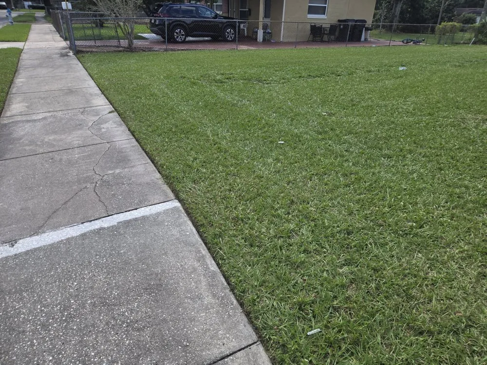 Expert yard cleanup service for beautiful yards across Winter Springs, FL - Pristine Cuts & Care