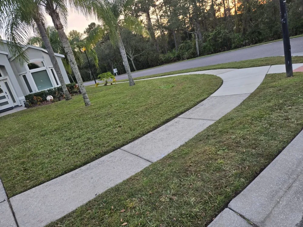 Custom yard cleanup service in Winter Springs, FL by Pristine Cuts & Care