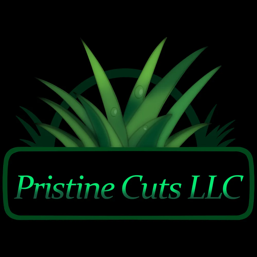 Professional yard maintenance in Blue Springs, MO by Pristine Cuts Mowing