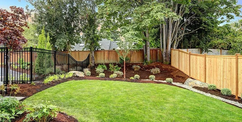 Local lawn care service in Fresno, TX - Pristine Fence & Handymen