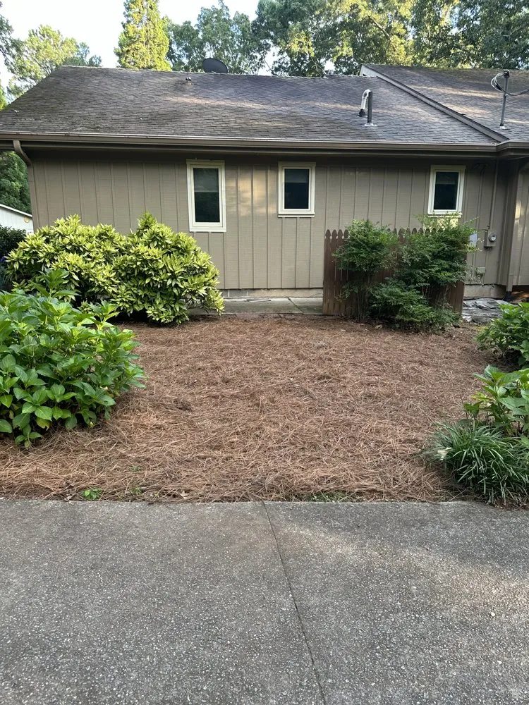 Reliable lawn care service in Carrollton, GA - Pristine Gardens