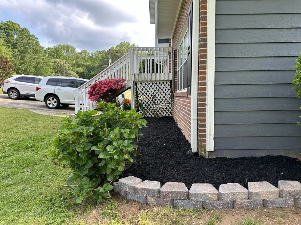 Top-rated yard maintenance in Carrollton, GA - Pristine Gardens