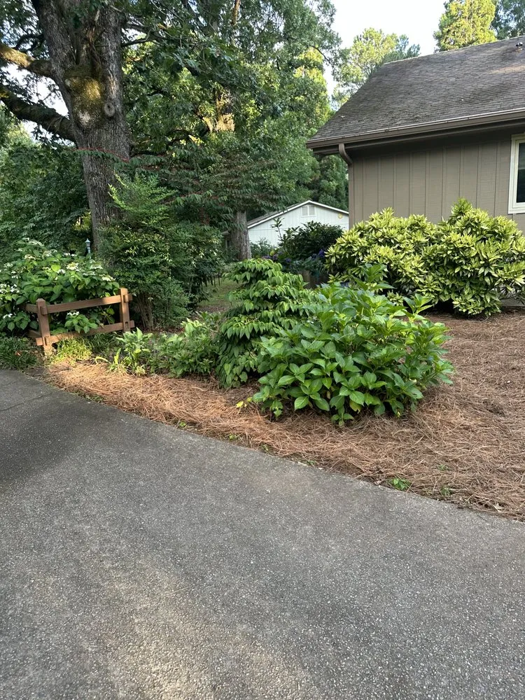 Custom yard cleanup service for beautiful yards across Carrollton, GA - Pristine Gardens