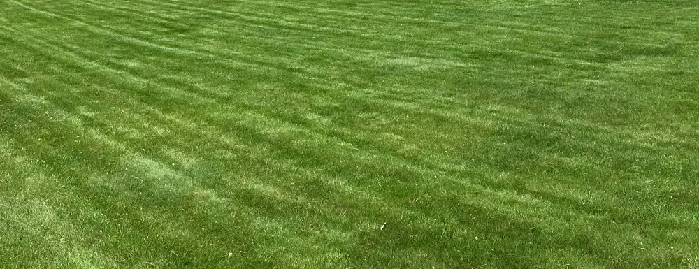 Reliable landscape design in Pocatello, ID - Pristine Green Lawn and Pest