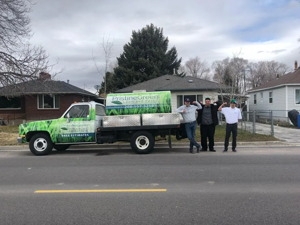 Top-rated residential landscaping in Pocatello, ID - Pristine Green Lawn and Pest