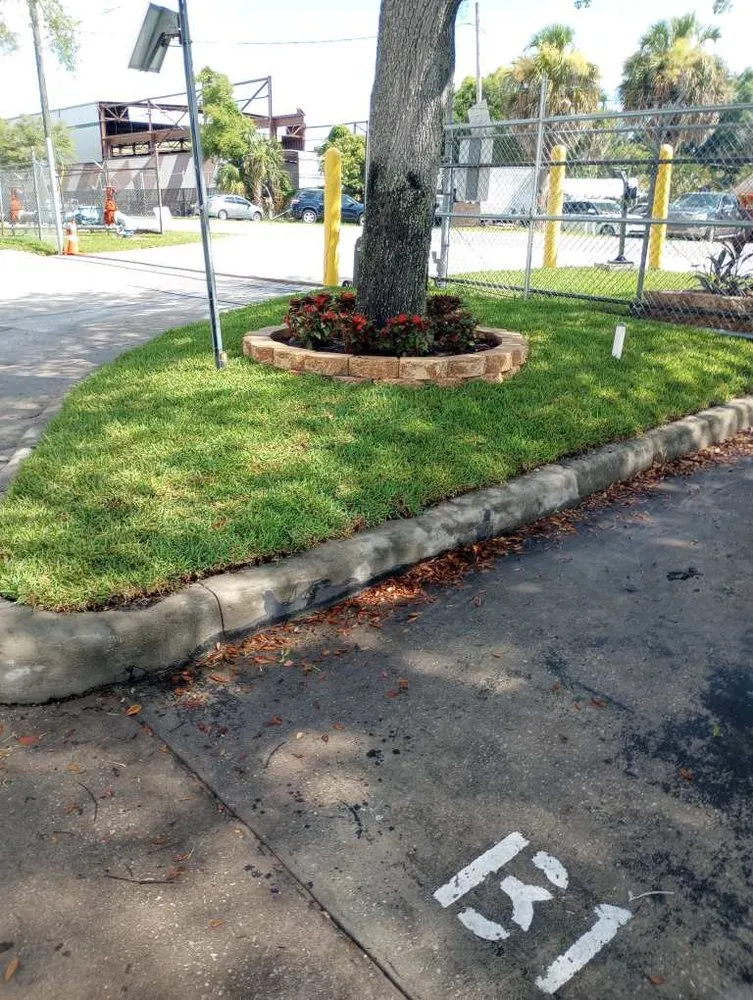 Trusted lawn mowing service in Orlando, FL by Pristine Green