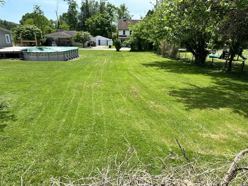 Professional landscape installation in Belle Vernon, PA - Pristine Green Solutions