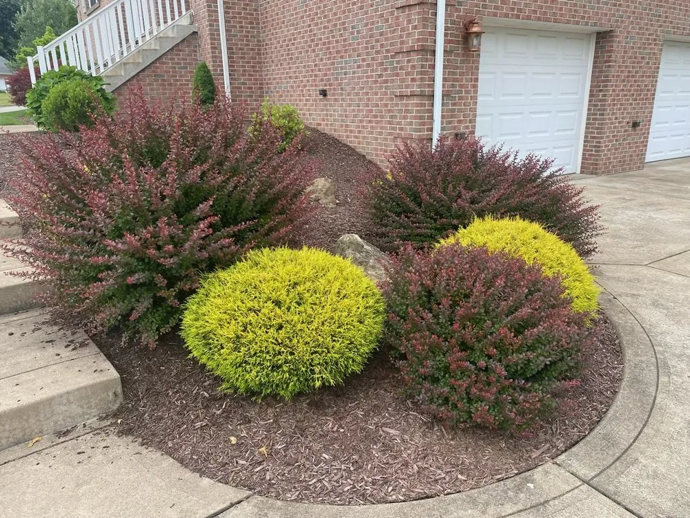 Custom yard maintenance for beautiful yards across Belle Vernon, PA - Pristine Green Solutions