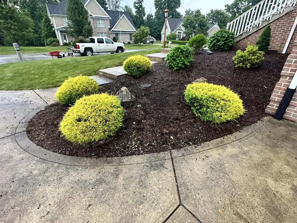 Professional yard maintenance in Belle Vernon, PA - Pristine Green Solutions
