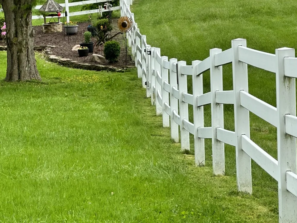 Reliable yard cleanup service in Belle Vernon, PA by Pristine Green Solutions