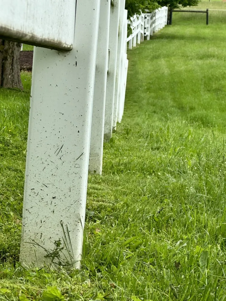 Local landscape design with custom design across Belle Vernon, PA - Pristine Green Solutions