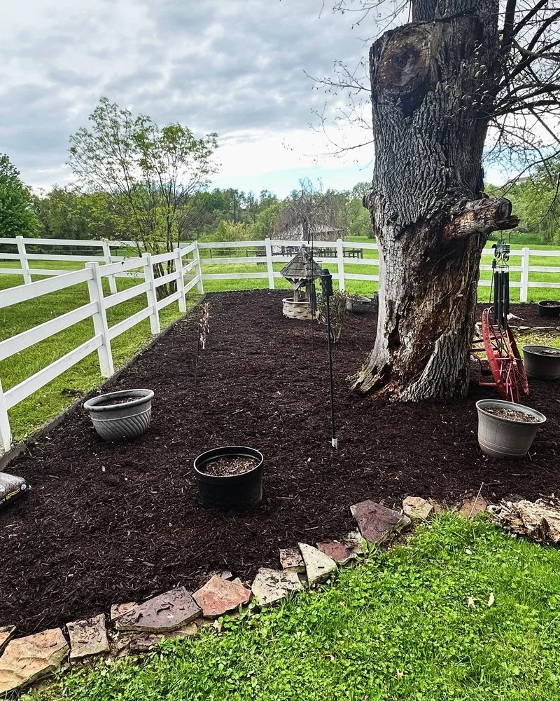 Local lawn care service in Belle Vernon, PA - Pristine Green Solutions