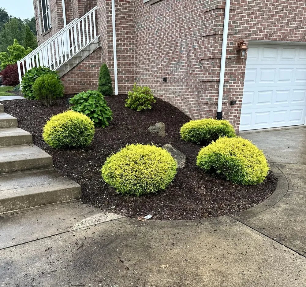 Top-rated yard maintenance near you across Belle Vernon, PA - Pristine Green Solutions