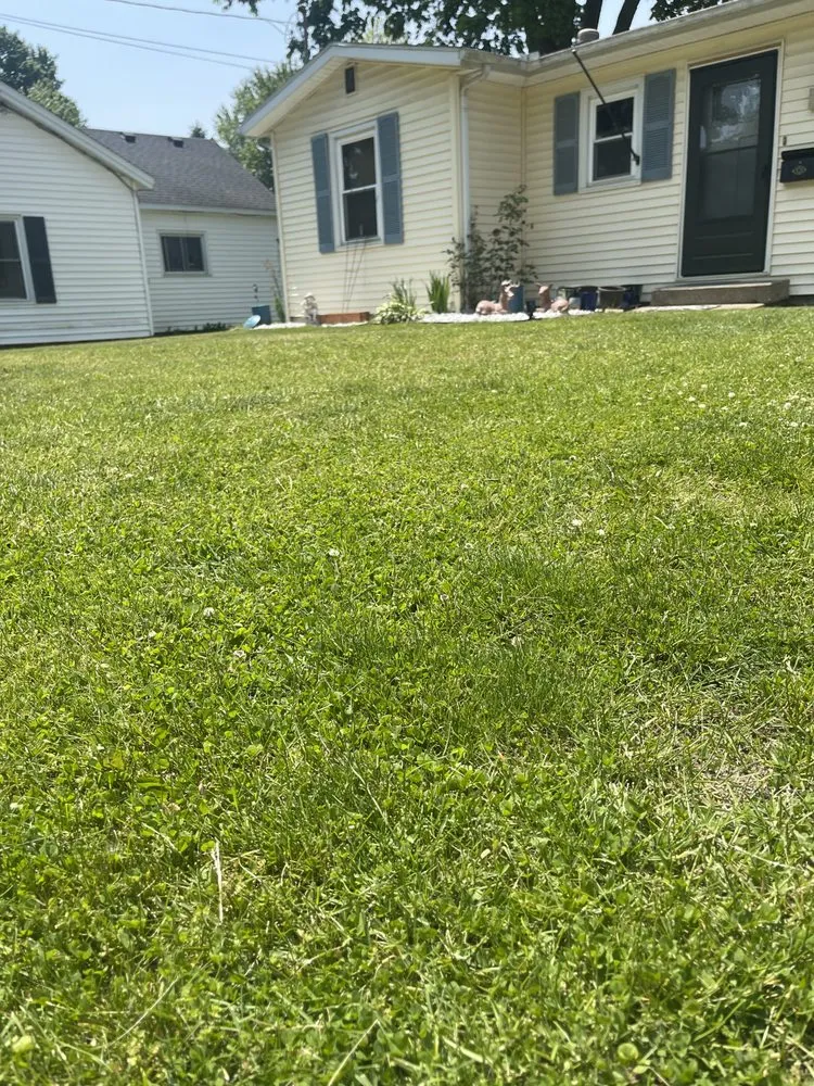 Local yard cleanup service for outdoor upgrades across Coldwater, MI - Pristine Greens Lawn Care