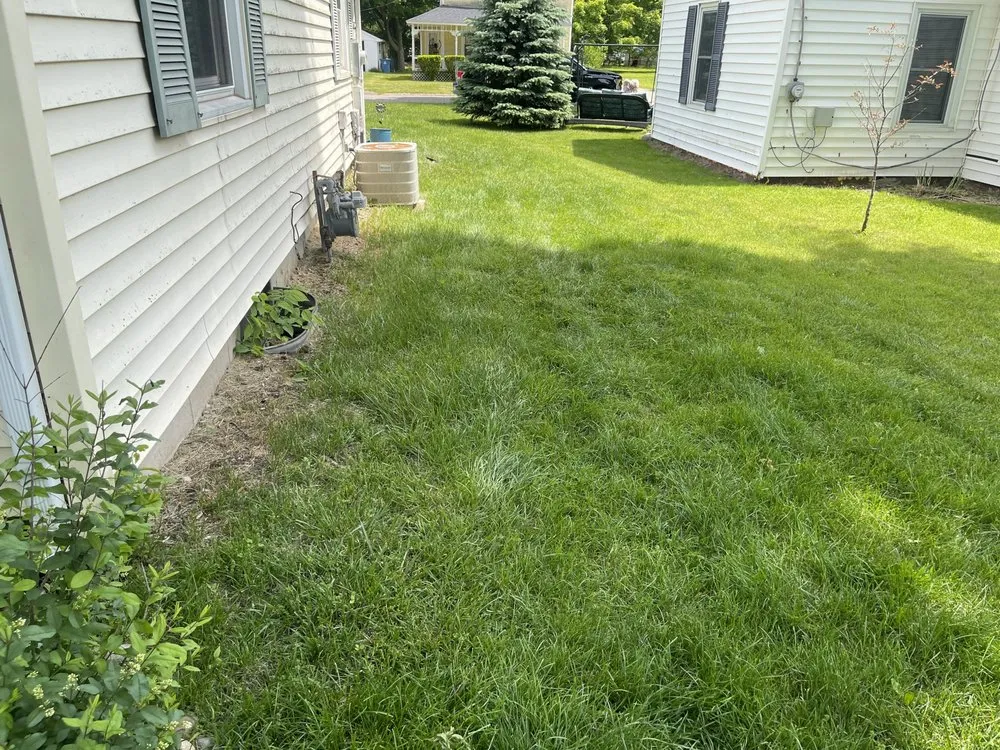 Expert lawn care service in Coldwater, MI by Pristine Greens Lawn Care