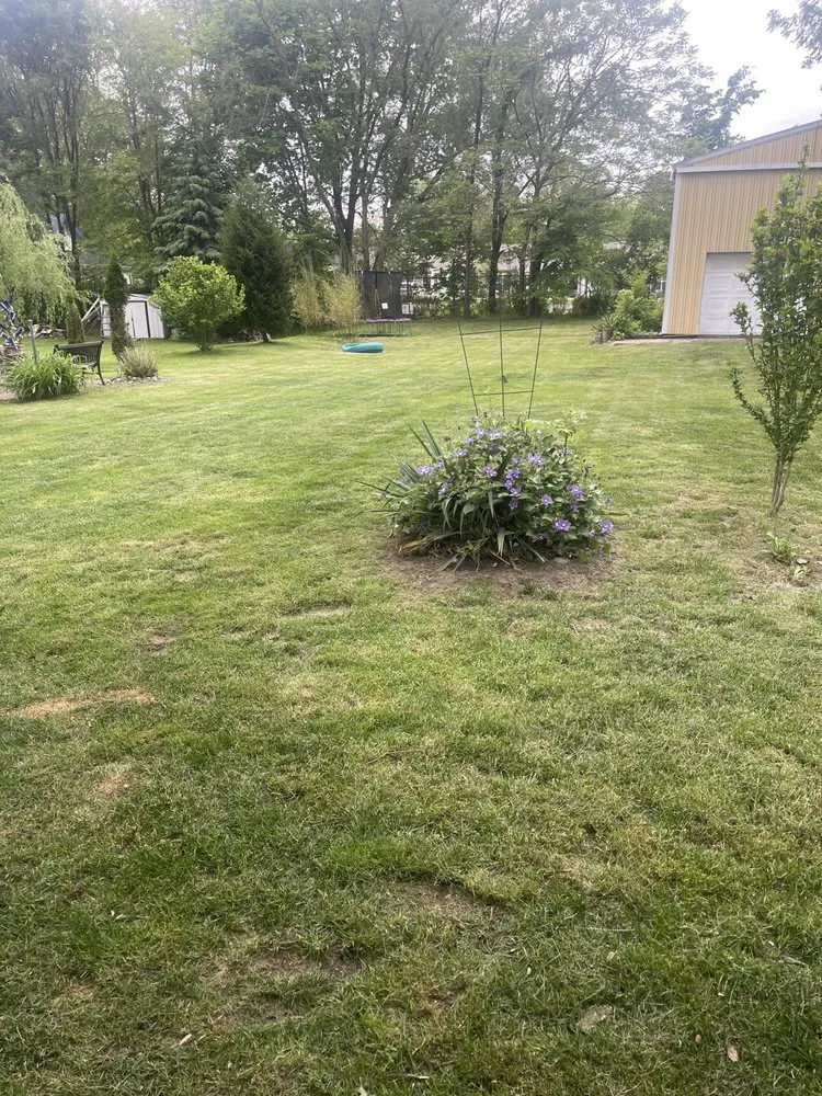 Professional yard maintenance in Coldwater, MI by Pristine Greens Lawn Care