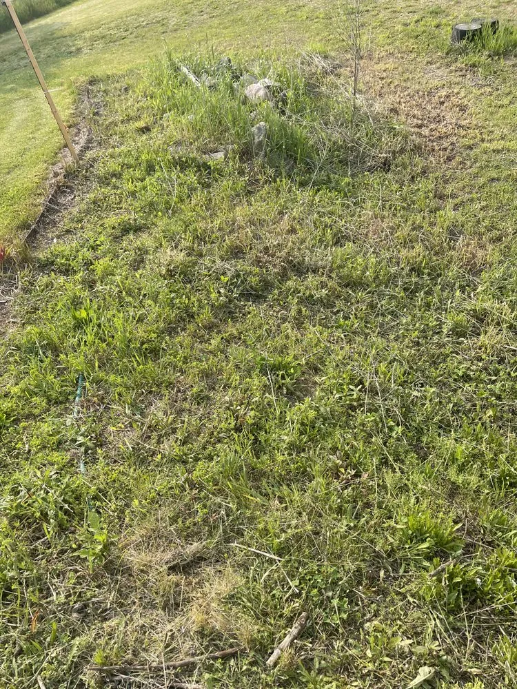 Trusted outdoor landscaping experts serving Coldwater, MI - Pristine Greens Lawn Care