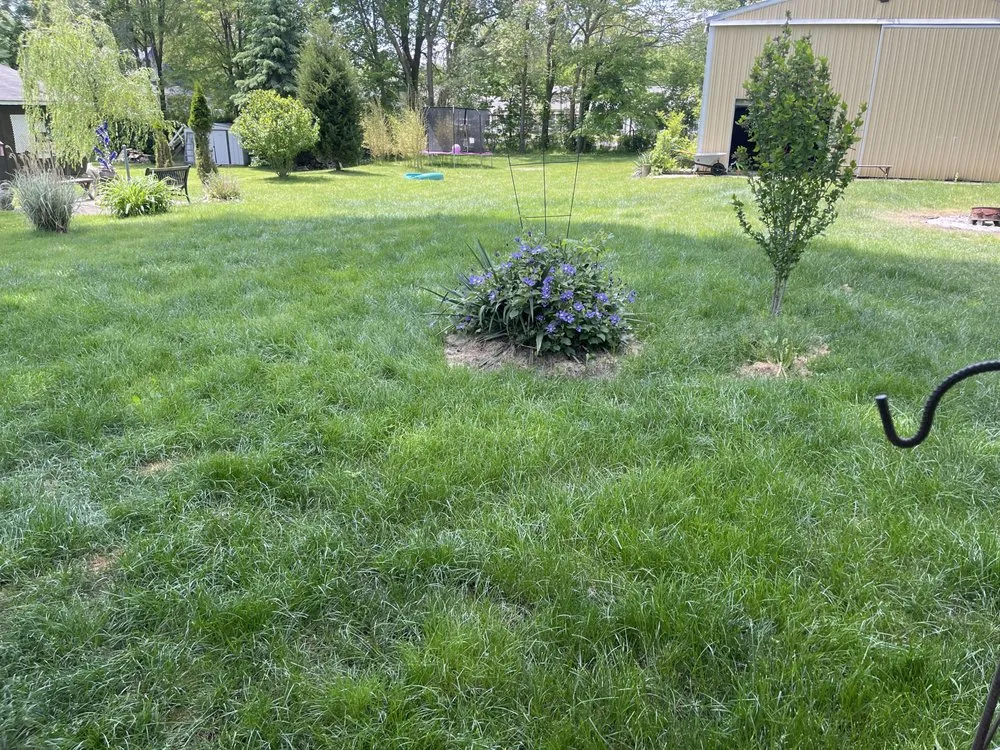 Top-rated lawn mowing service with custom design in Coldwater, MI by Pristine Greens Lawn Care