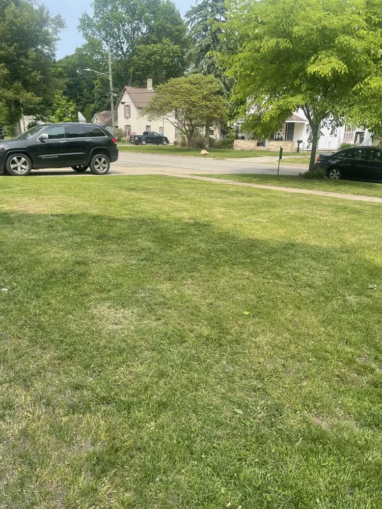 Top-rated garden landscaping for outdoor upgrades across Coldwater, MI - Pristine Greens Lawn Care