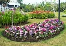 Professional lawn care service near you across Winder, GA - Pristine Grounds Maintenance