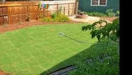 Reliable lawn care service in Winder, GA - Pristine Grounds Maintenance