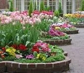 Reliable yard cleanup service in Winder, GA - Pristine Grounds Maintenance