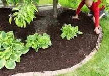 Local outdoor landscaping in Winder, GA by Pristine Grounds Maintenance