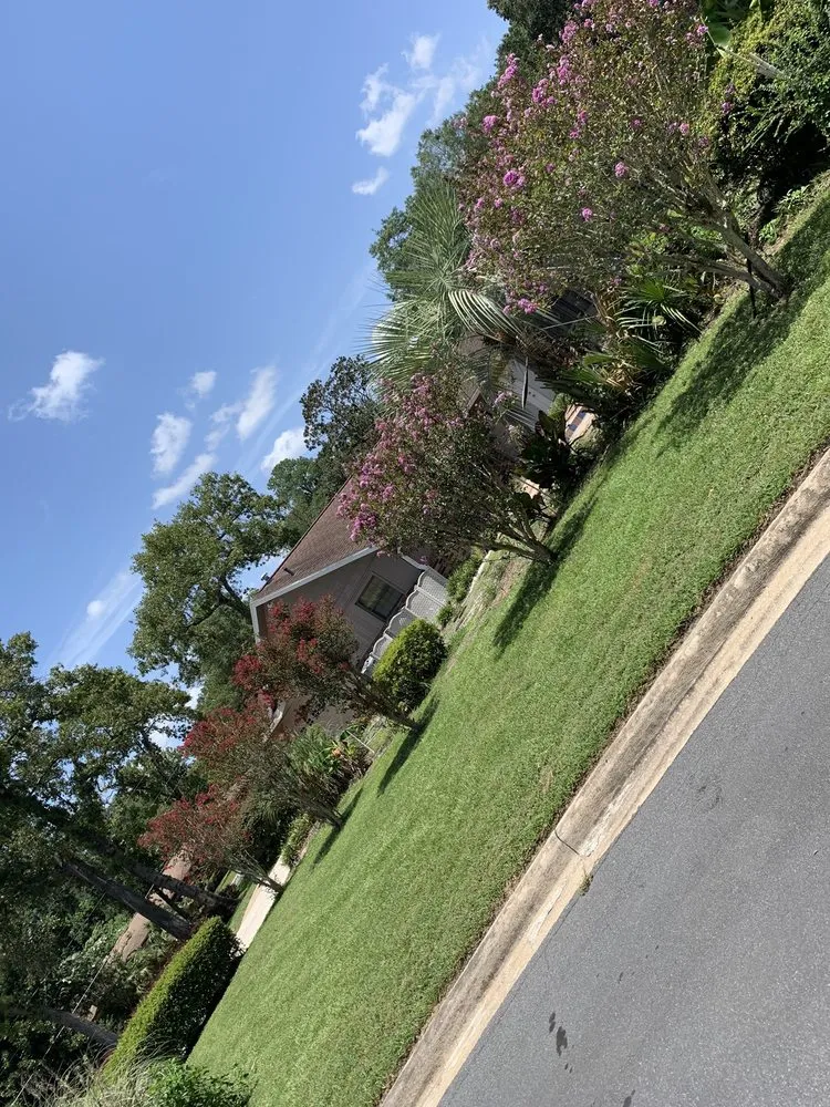 Trusted residential landscaping in Summerfield, FL by Pristine Hardscape & Landscaping