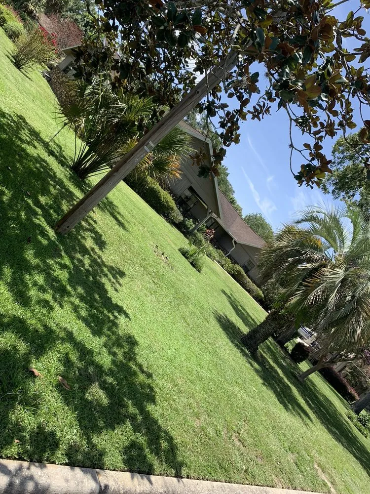 Local yard cleanup service experts serving Summerfield, FL - Pristine Hardscape & Landscaping