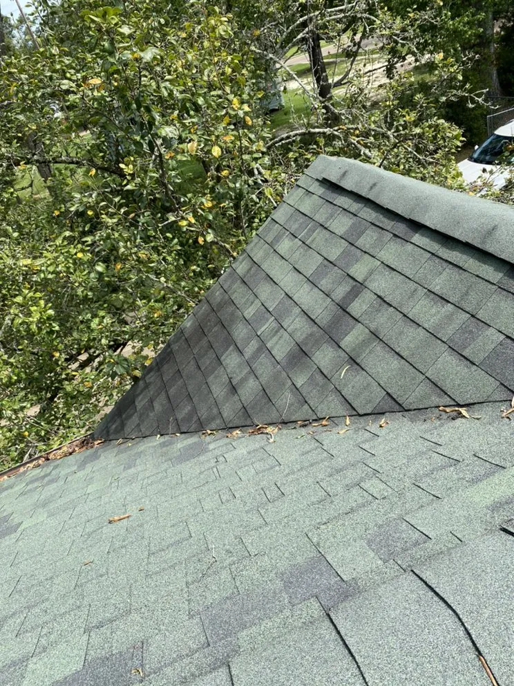 Trusted lawn care service near you in Amite City, LA by Pristine Home & Lawn