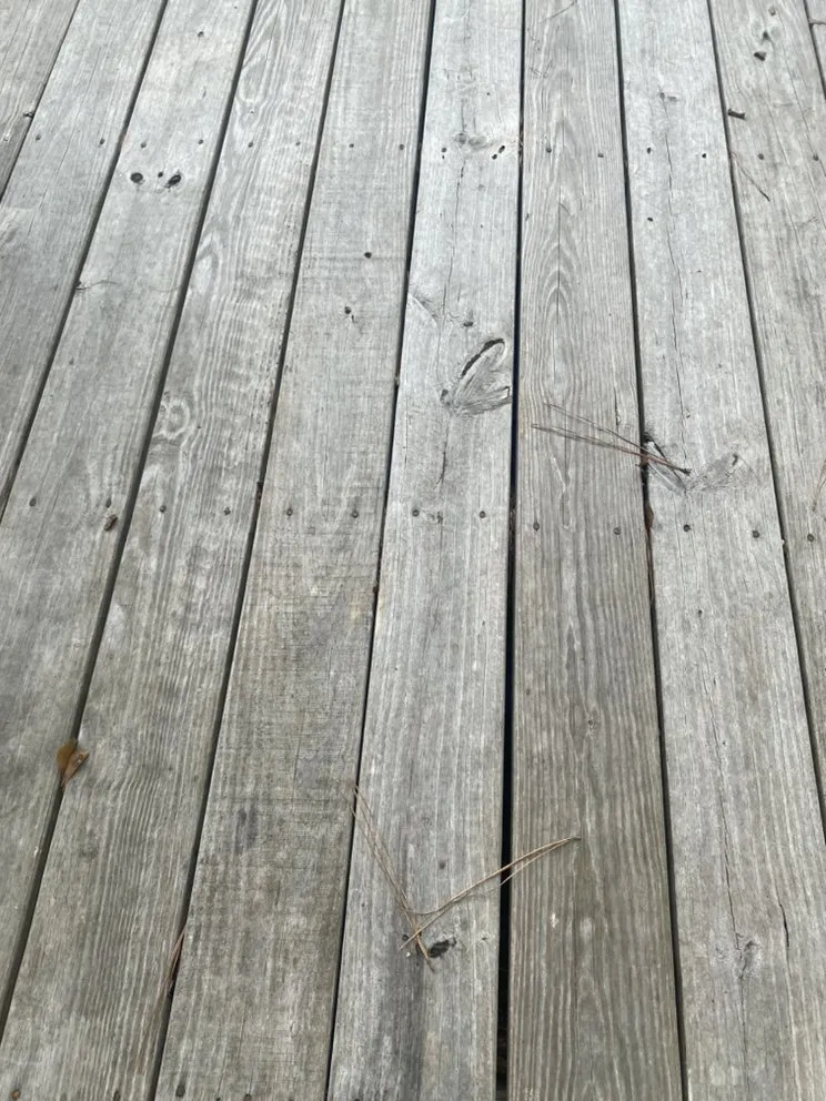 Professional lawn mowing service for beautiful yards in Amite City, LA by Pristine Home & Lawn