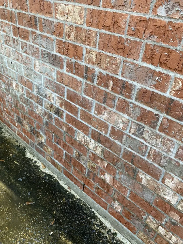 Local lawn care service in Amite City, LA by Pristine Home & Lawn