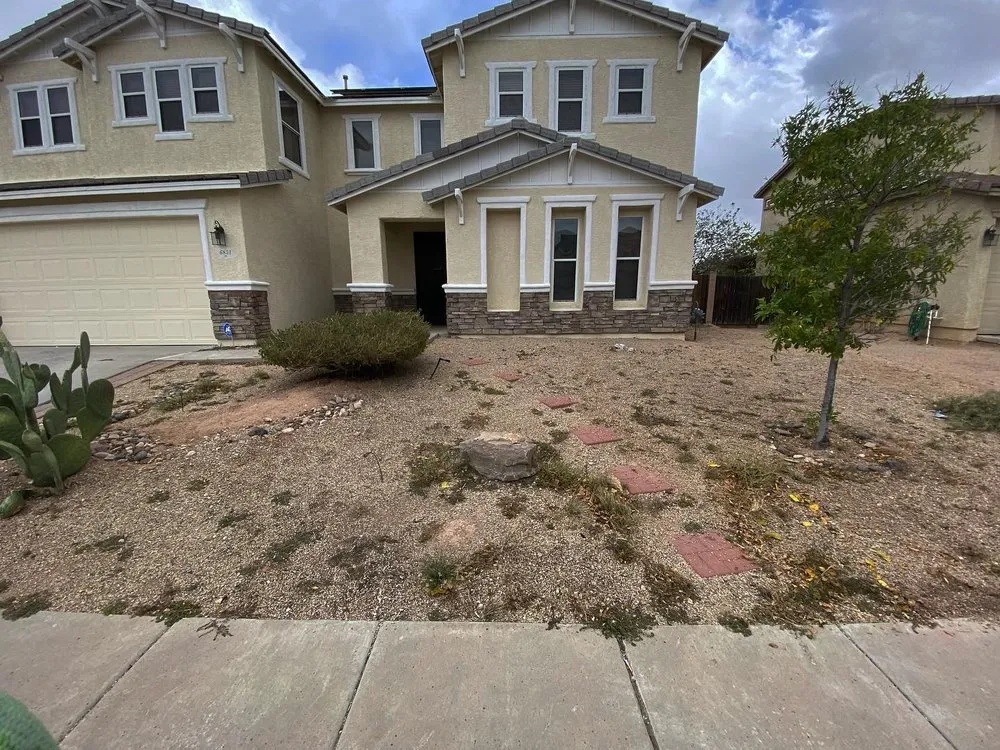 Custom lawn mowing service for year-round maintenance in Tucson, AZ by Pristine Home Mantenance