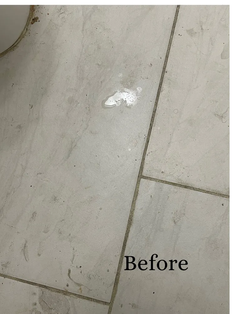 Affordable lawn care service for homes across Birmingham, AL - Pristine Kleens and Lawn Care Too