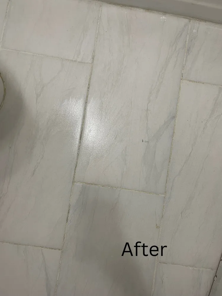 Local yard cleanup service in Birmingham, AL by Pristine Kleens and Lawn Care Too