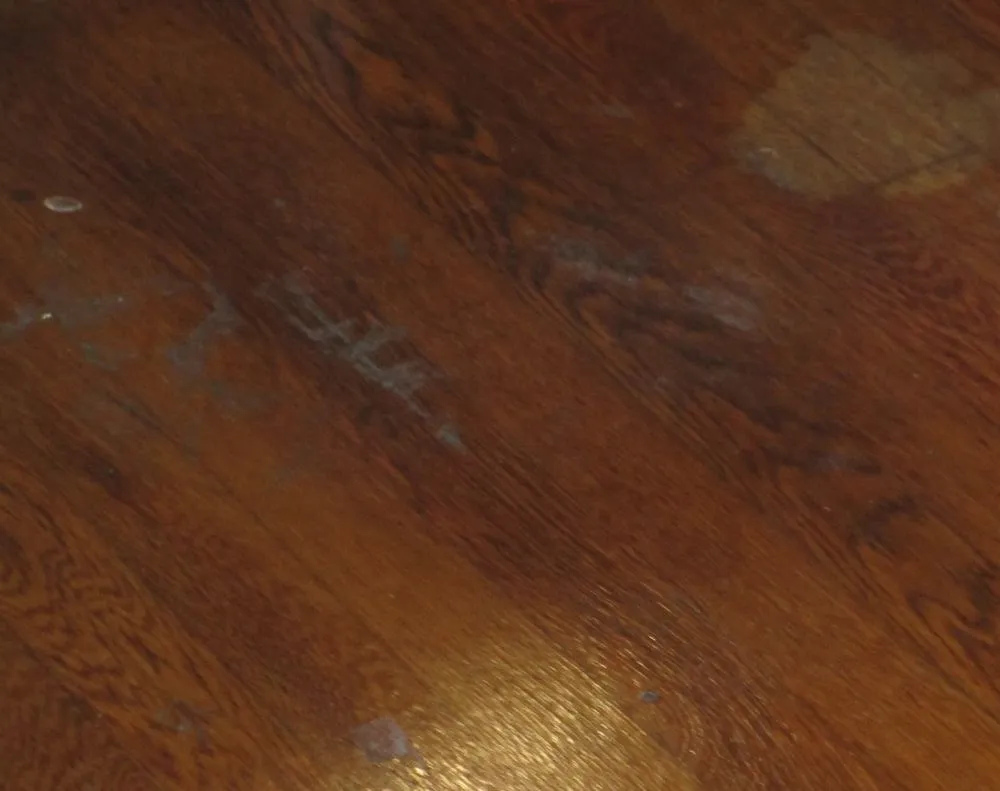 Local yard maintenance experts serving Birmingham, AL - Pristine Kleens and Lawn Care Too