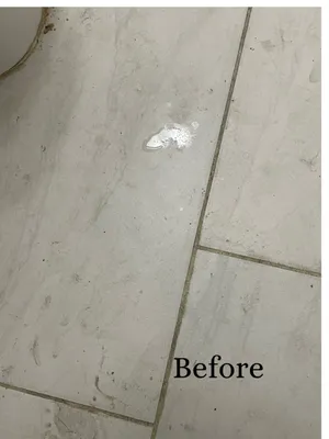 Pristine Kleens and Lawn Care Too Logo