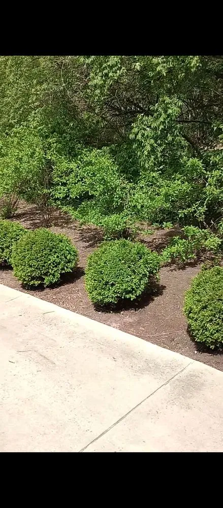 Custom yard maintenance experts serving St. Louis, MO - Pristine Land Management